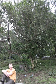 IMG_5440