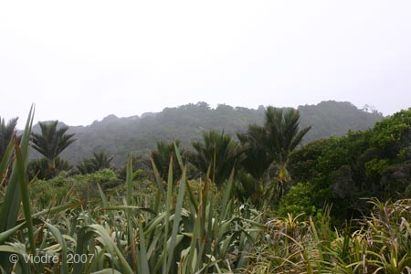 IMG_8863