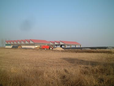 DSCF0042