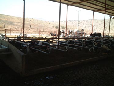 DSCF0009